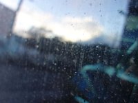 DSC03950