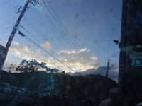 DSC03953