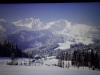 DSC03955