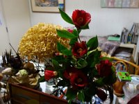DSC04017