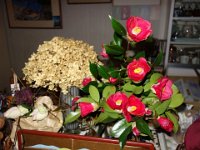 DSC04022