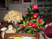DSC04023