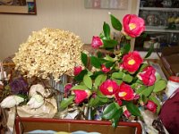 DSC04027