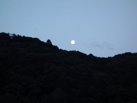 DSC04101