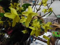 RIMG0211