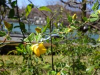 DSC04155
