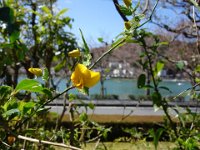 DSC04156