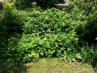 DSC04553