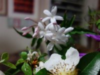 DSC04577