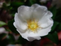 DSC04580