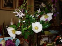 DSC04583