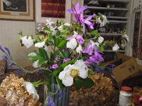 RIMG0298