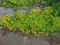 DSC04640