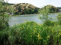 DSC04642