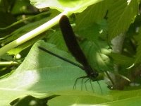 RIMG0319