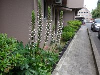 DSC04804