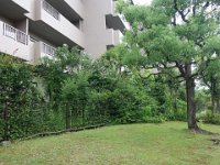 DSC05193