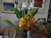 RIMG0391