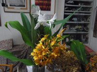 RIMG0396