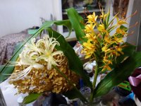 DSC05303