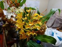 DSC05305