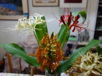 DSC05306