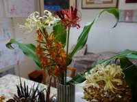 DSC05307