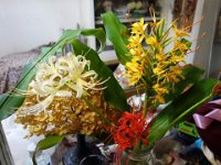 DSC05308