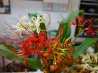 DSC05309