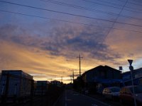 DSC05641
