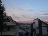 DSC05643