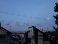 DSC05666