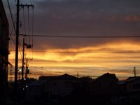 DSC05669