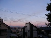 RIMG0463