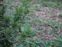 DSC05694