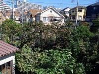 DSC05752