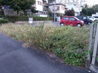 DSC05757