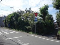 DSC05764