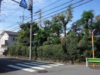 DSC05765