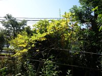DSC05845