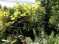 DSC05846