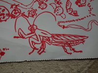DSC05962