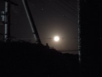 RIMG0547