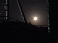 RIMG0548