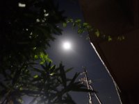 DSC06053
