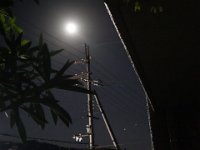 DSC06054