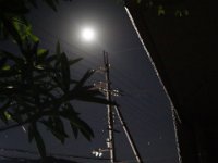 DSC06055