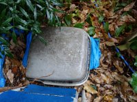 DSC06207