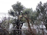 DSC06208