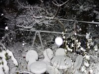 DSC06232